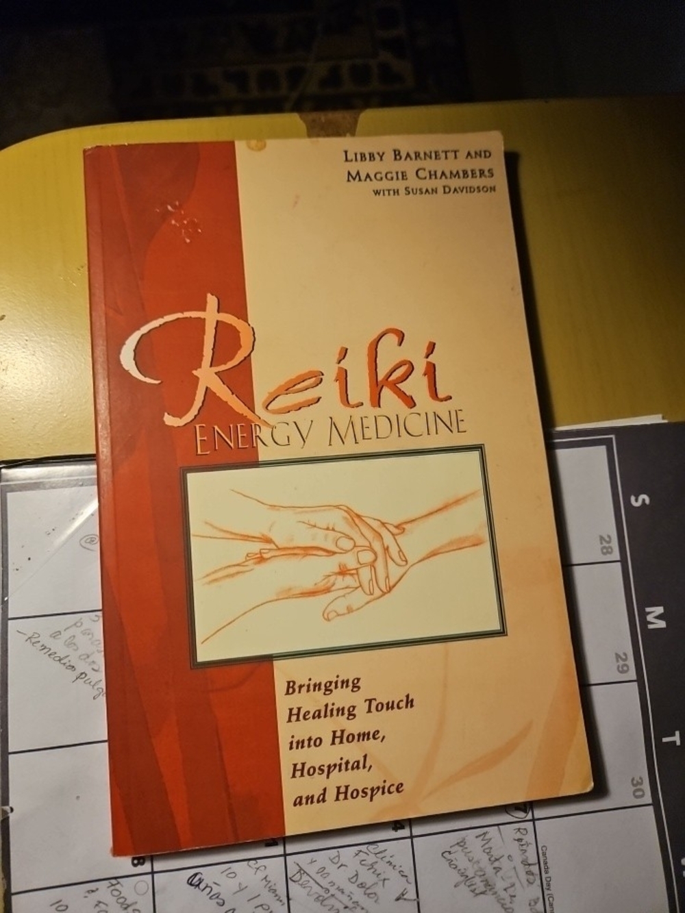 Reiki Energy Medicine Paperback Book - Cream & Red